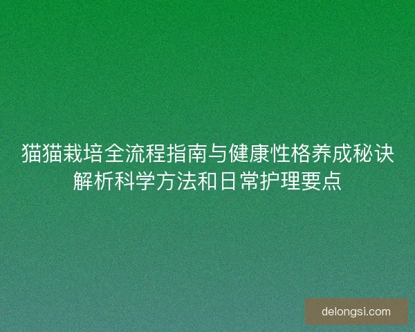 猫猫栽培全流程指南与健康性格养成秘诀解析科学方法和日常护理要点