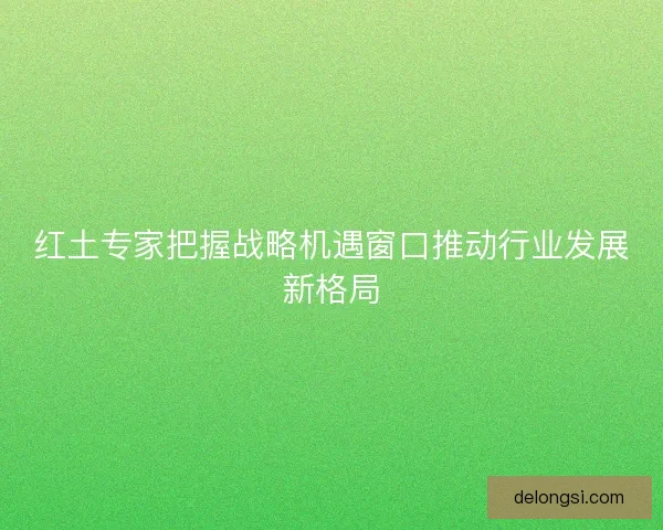 红土专家把握战略机遇窗口推动行业发展新格局