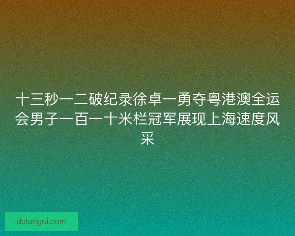 十三秒一二破纪录徐卓一勇夺粤港澳全运会男子一百一十米栏冠军展现上海速度风采